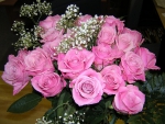 Pink roses