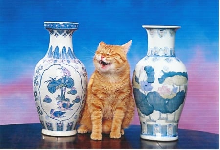 Red tabby cat - red, tabby, cute, paws, cat, vases