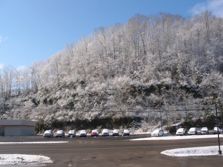 snowfall - snow, sunshine, cold, bright