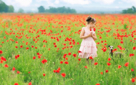 *** Girl on the field of poppies *** - nature, field, flowers, poppies