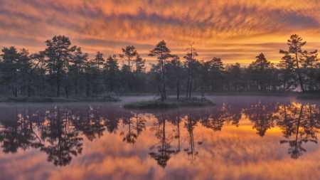 Sunset - water, lake, cloud, trees