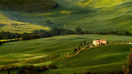 The beauty of our planet - fields, trees, amazing, green