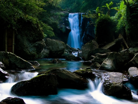 Forest Waterfall - fall, nice, forest, water