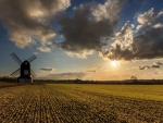 windmill surrounded by cultivated fields