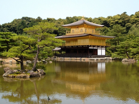 temple - fun, japan, architecture, medieval, temple