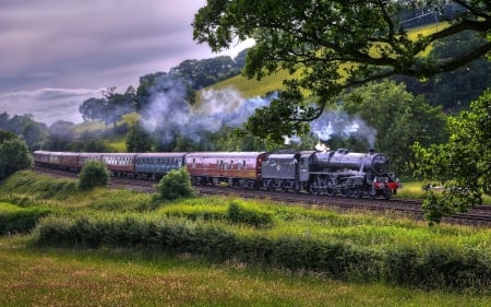 Old Steamtrain - steam, locomotive, trees, railway, landscape