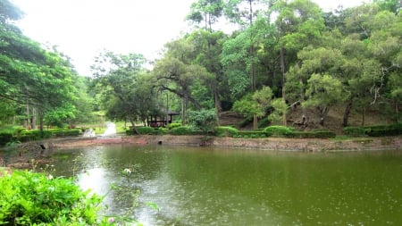 Raining day - nature, lush green, Raining day, lake, tree