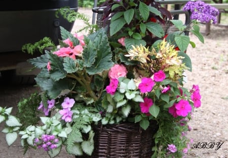 Bouquet of flowers - pink, Flowers, green, photography