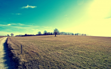 Field - field, sky, tree, nature