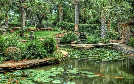 Exotic Pond Garden - pond garden, beauty, flowers, natuer