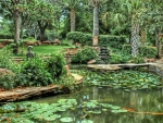 Exotic Pond Garden