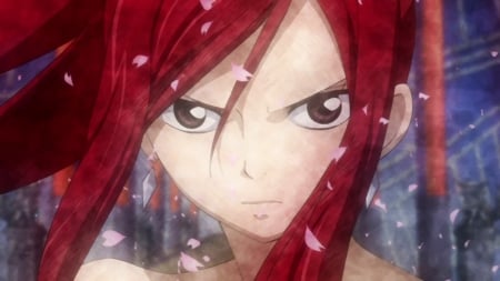 Erza Scarlet - sakura flowers, brown eyes, long hair, prtlas, red hair, angry, erza scarlet, fairy tail, petals, look