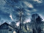 barn in a forest in blue hue