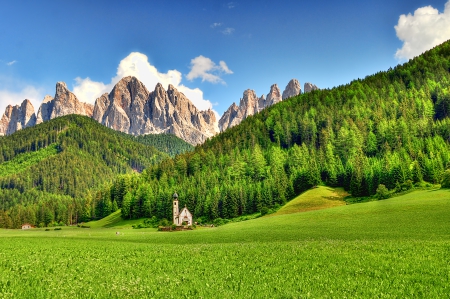 *** Incredible beautiful forest *** - trees, nature, green, forest, mountains