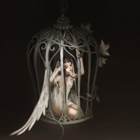 Caged Angel