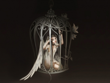 Caged Angel