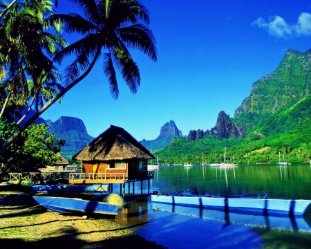 Cooks bay - nice, hut, cottage, sky, beach, tropics, hotel, bay, vacation, holiday, relax, cliffs, ocean, palm trees, boats, mountain, palms, summer, tropical, sailing, shore, lovely, exotic, cooks, blue, beautiful, rest, moorea, sea, tahiti