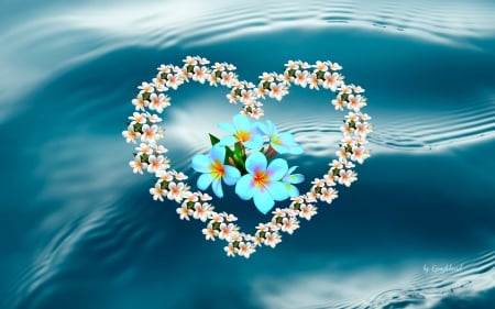 Plumeria Heart on Water - PLUMERIA HEART, ART, BEAUTY, ABSTRACT