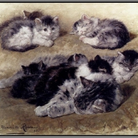 cute kitty family