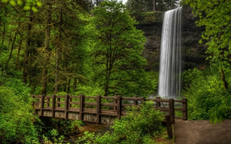 Waterfall - bridge, trees, waterfall, beautiful