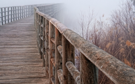 wonderful wooden bridge - wood, weeds, fog, bridge, rail