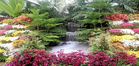 garden beauty - flowers, colours, white, water, yellow, pond, green, pink