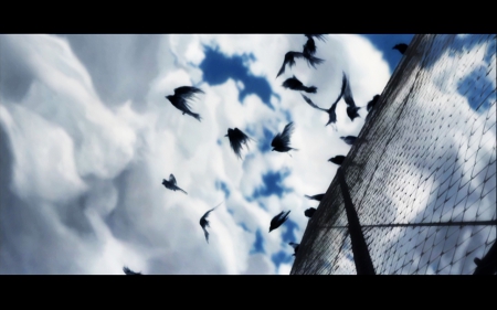 Animatrix - anime, animatrix, cool, crows