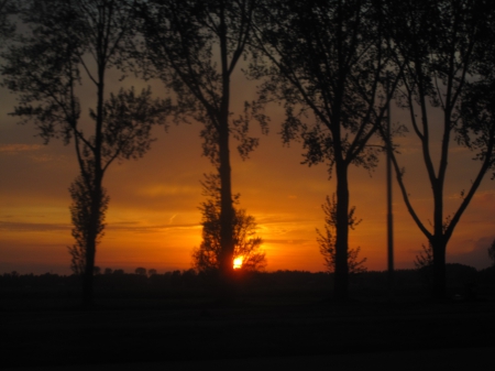 SUNS@T - horizon, sky, trees, photography, sun, sunset, nature, view, red, beautiful, clouds, sunsets, tree