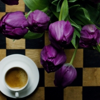 purple tulips & cup of coffee