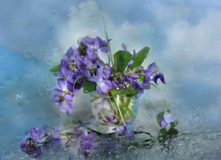 lovely spring flowers - flowers, spring, still life, purple