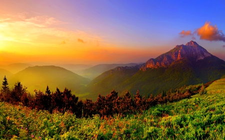 SUMMER DUSK - lighthouse, clouds, mountains, flowers, sunset, grass