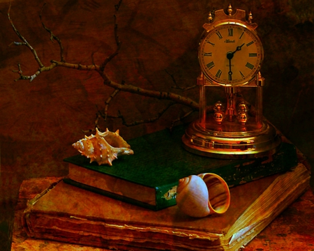 Stil llife - shell, book, still life, clock