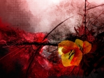 ABSTRACT FLOWERS: POPPIES