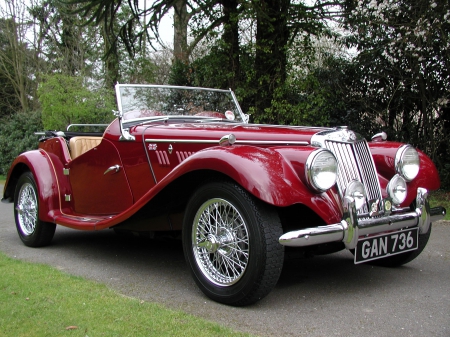 MG SPORTS - sports, classic, british, car