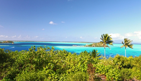 Bora Bora Paradise Island Blue Lagoon Ocean - lagoon, blue, pacific, society, bushes, island, french, polynesia, forest, tahiti, holiday, rain, exotic, paradise, escape, south, luxury, lush, trees, sea, polynesian, ocean, tree, palm, islands, tropical, bora bora, green