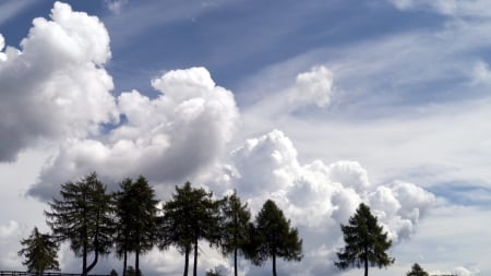 wondrous cloudy sky - sky, trees, fence, clouds