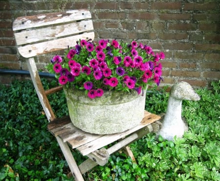 Summer - chair, photography, green, summer, flowers, garden, flower