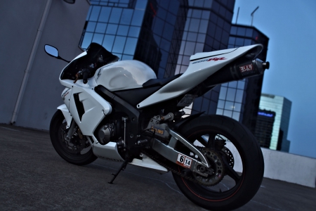 600RR - white, 600rr, racebike, dunlop