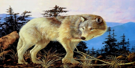 white wolf - white, wolf, pink sky, brown, lobo, rocks, woods