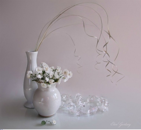 White still life - flowers, white, stilllife, soft