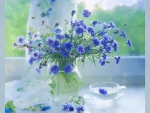 lovely blue flowers for tea time