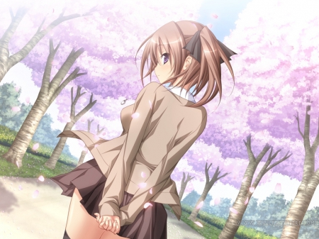 Anime Girl - anime girl, smiiie, brown hair, petals, short hair, unifrom, smile, amile, sakura flowers, cute