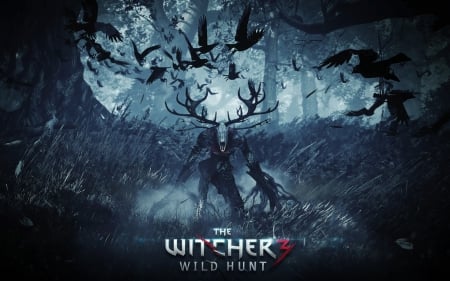 The Witcher - Video, The, game, Witcher