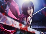 Mikasa