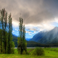 rain clouds coming over cattle pasture