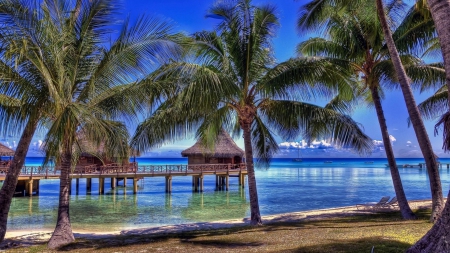 fabulous bungalow resort in paradise hdr - beach, palms, bungalows, hdr, sea, resort