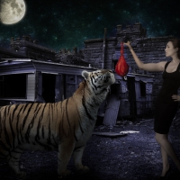 Here Kitty Kitty