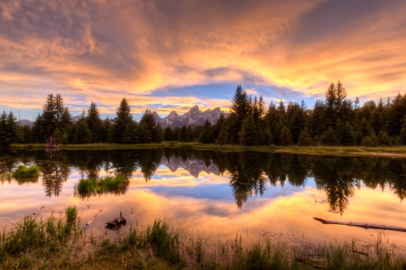 lake - lake, forest, fun, sunset, nature