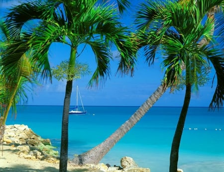 Summer in Antigua - pretty, summer, blue, beach, boat, island, sailing, shore, exotic, palm trees, nice, palms, trees, beautiful, vacation, antigua, travel, lovely