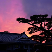 Twilight in Japan